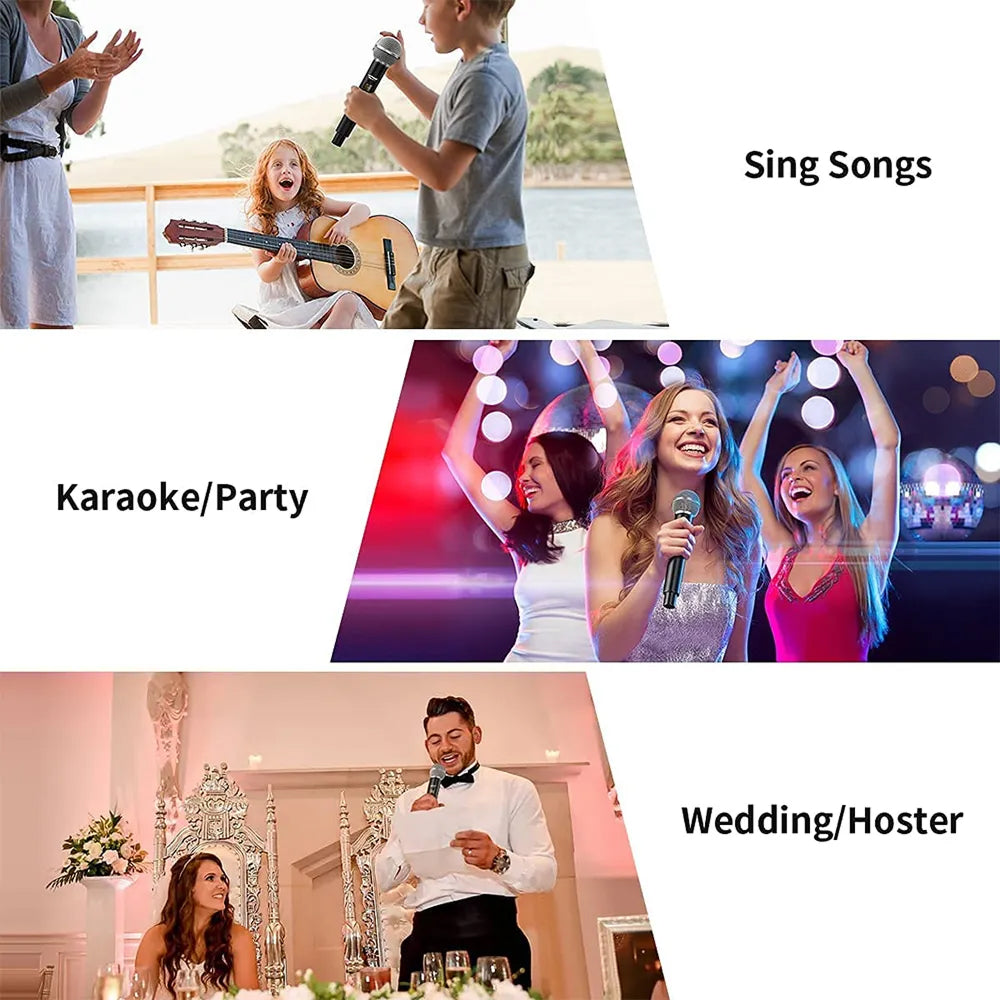 SingyMic