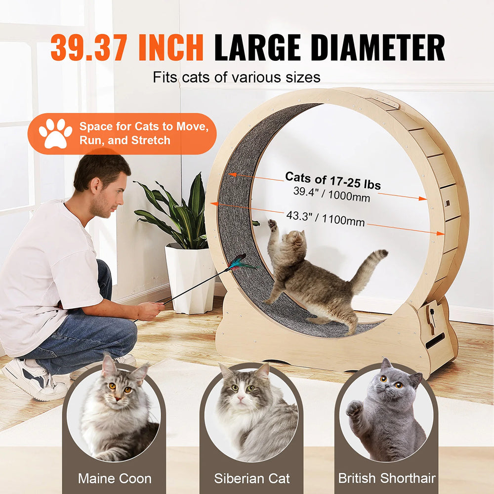 PurriMill