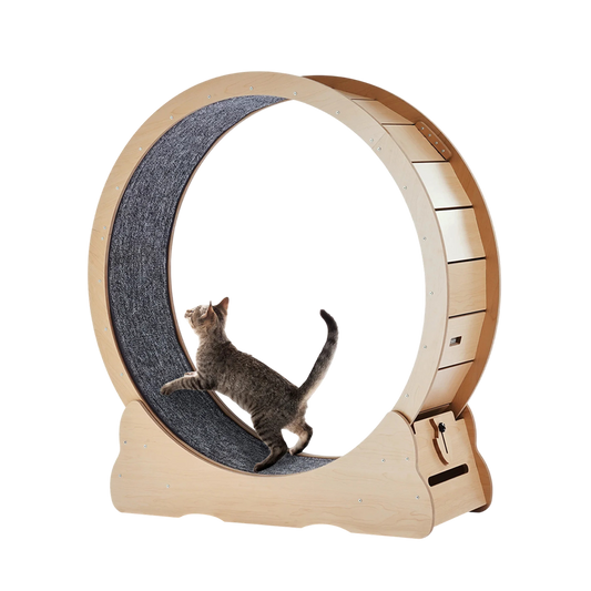 PurriMill