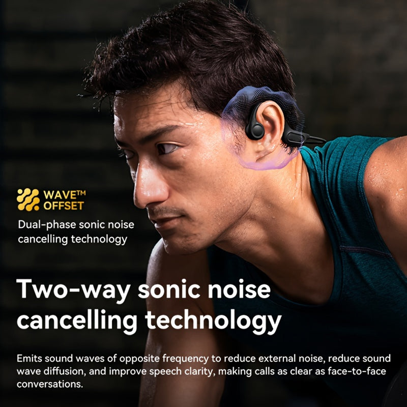 AudiVyx