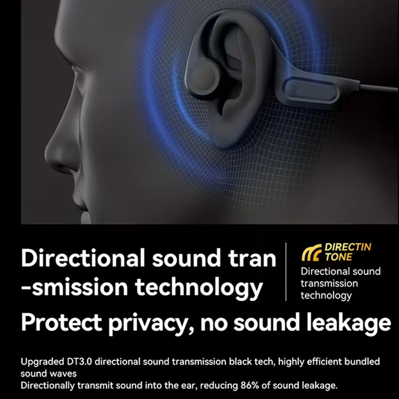 AudiVyx