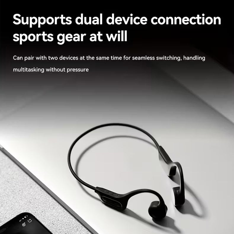 AudiVyx