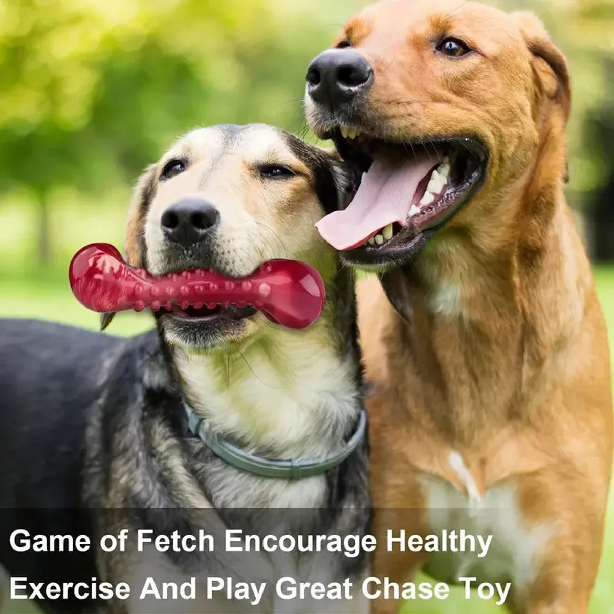 BarkDogix
