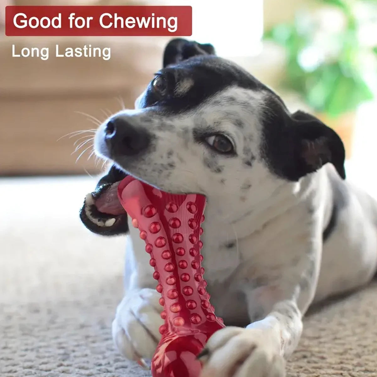 BarkDogix