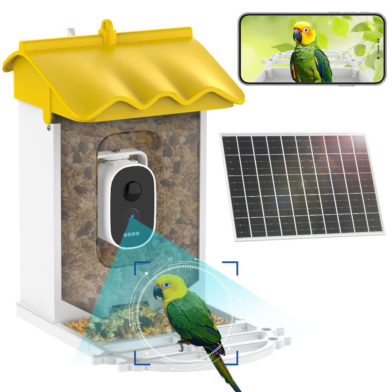 BirdieSaw Bird Feeder Camera