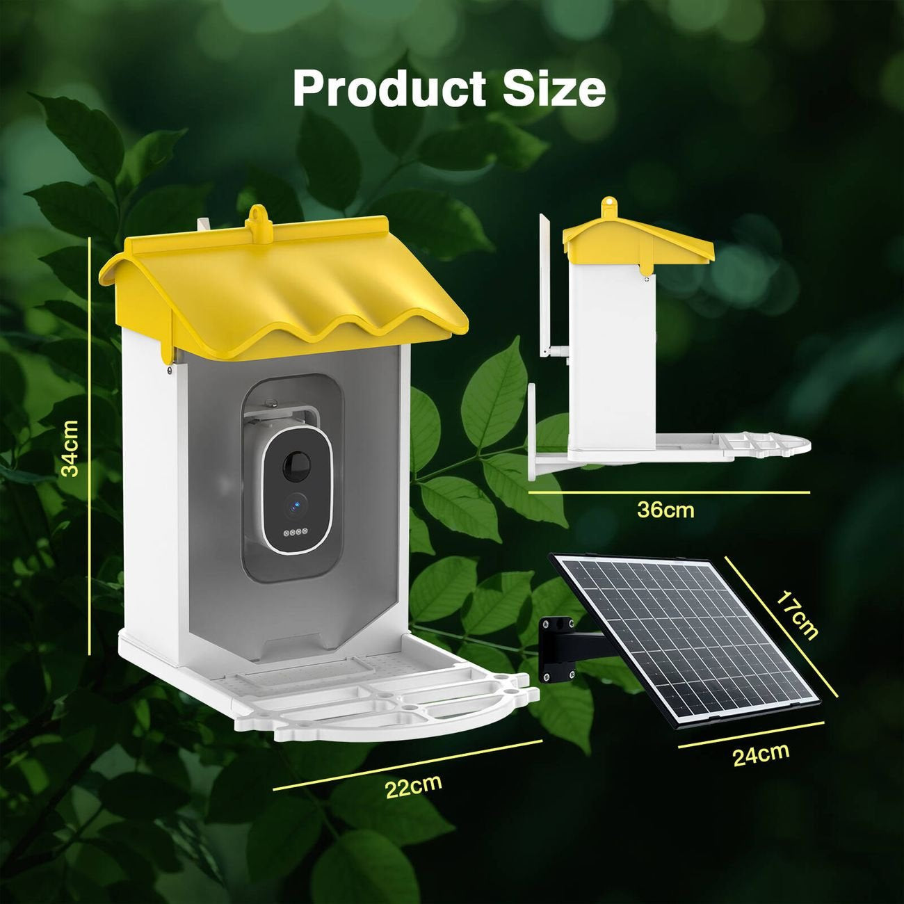 BirdieSaw Bird Feeder Camera