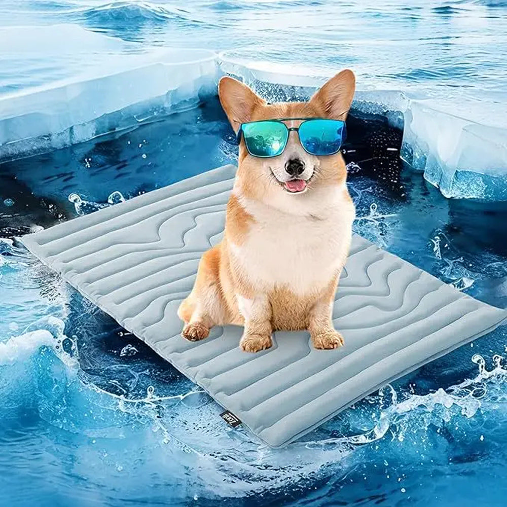 ChilPawis