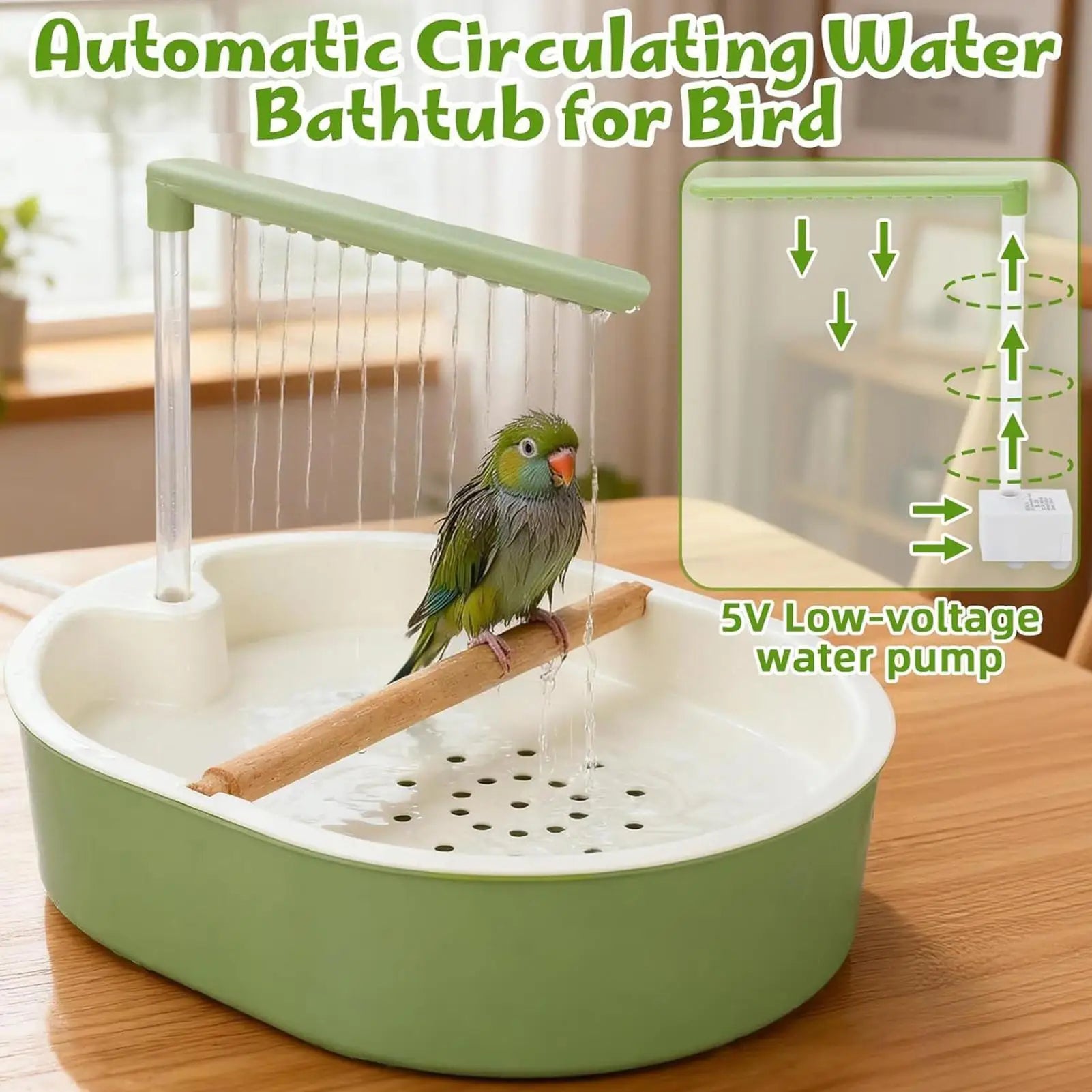 ChirpiBat Bird Bath