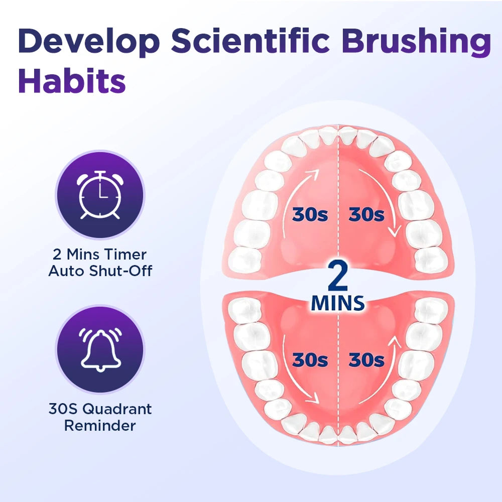 DentiBruly