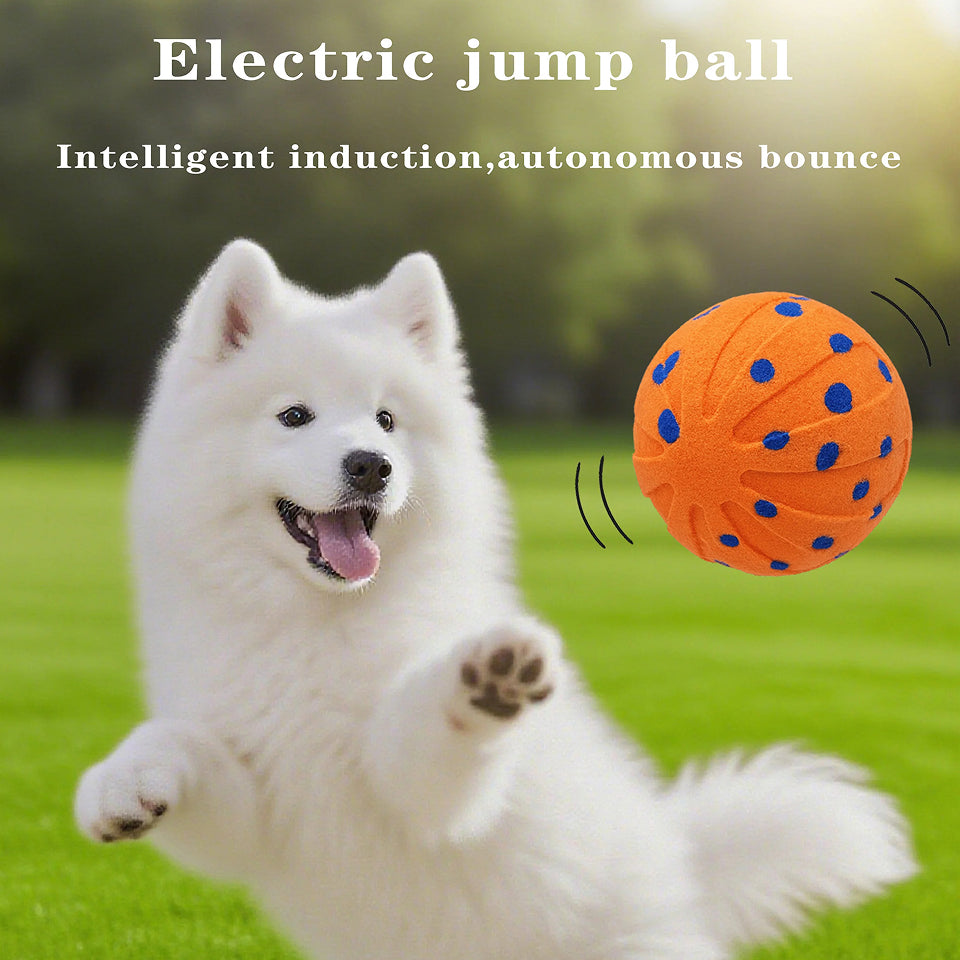 DogBounc