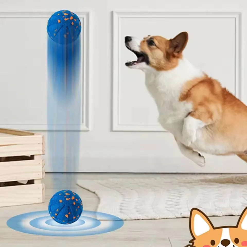 DogBounc