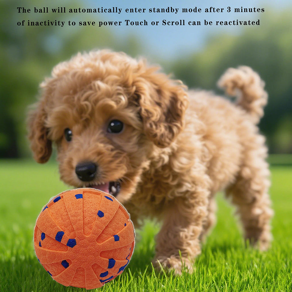 DogBounc