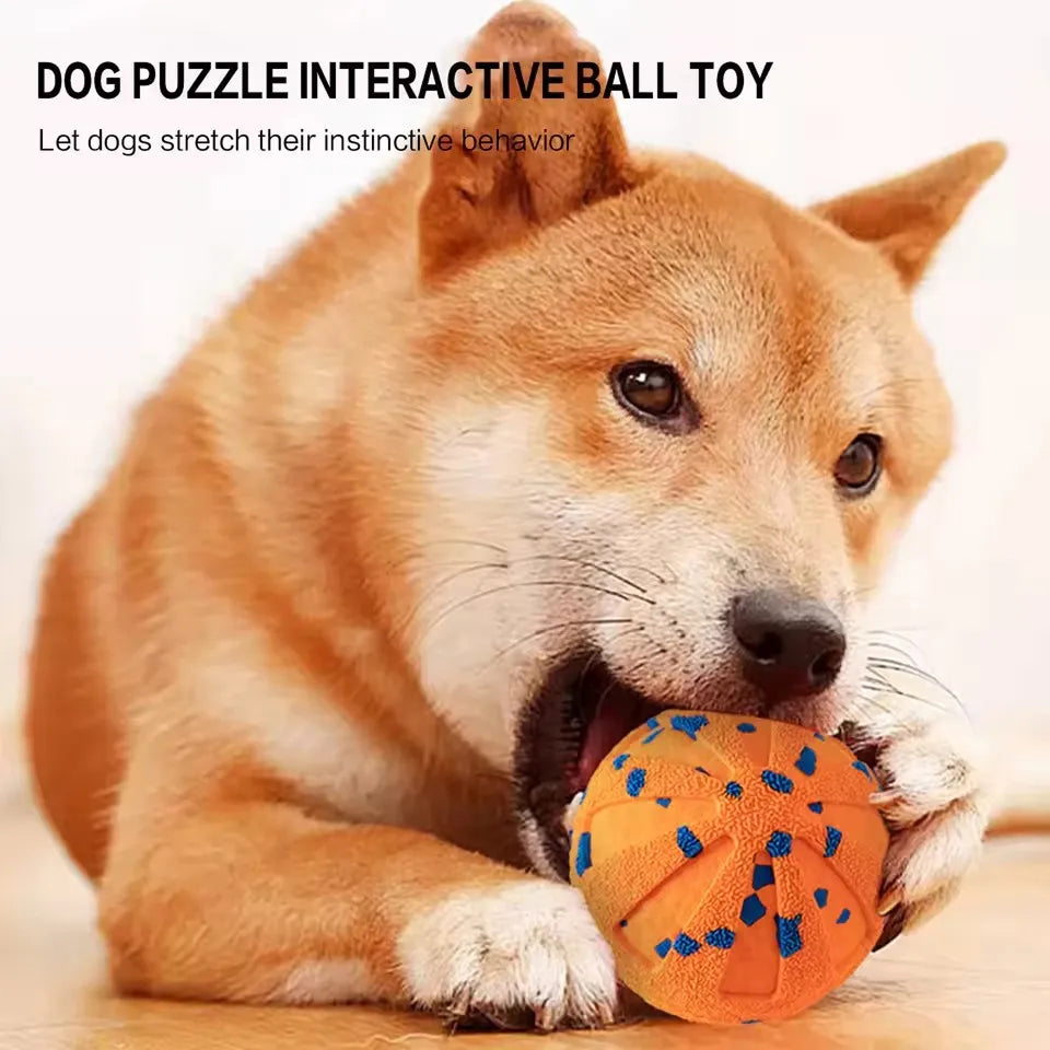 DogBounc