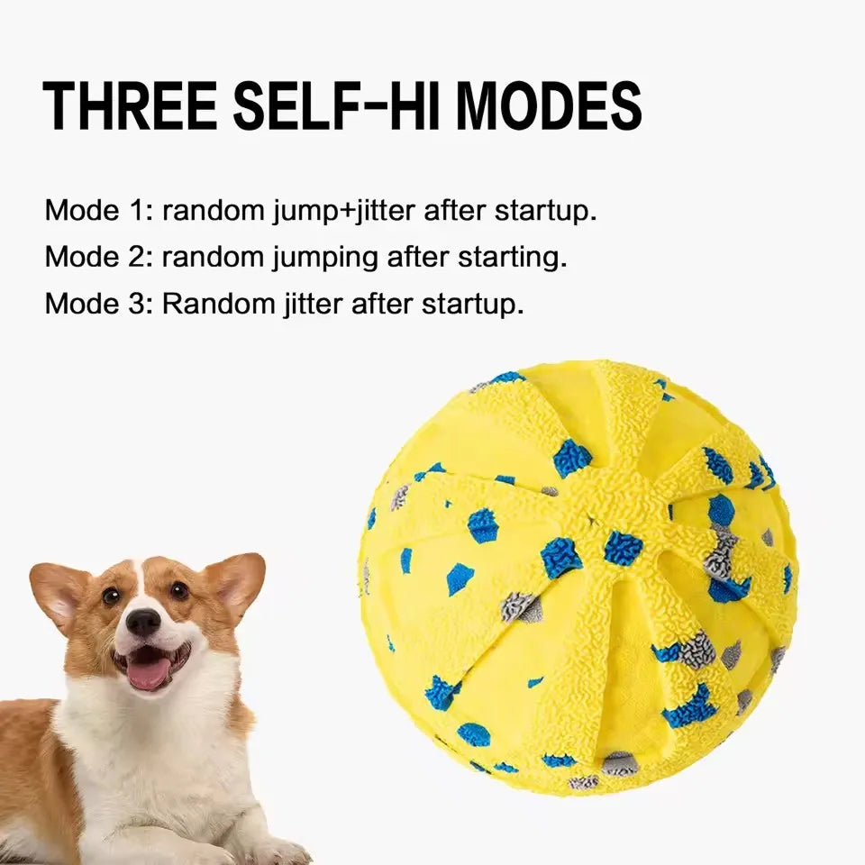 DogBounc