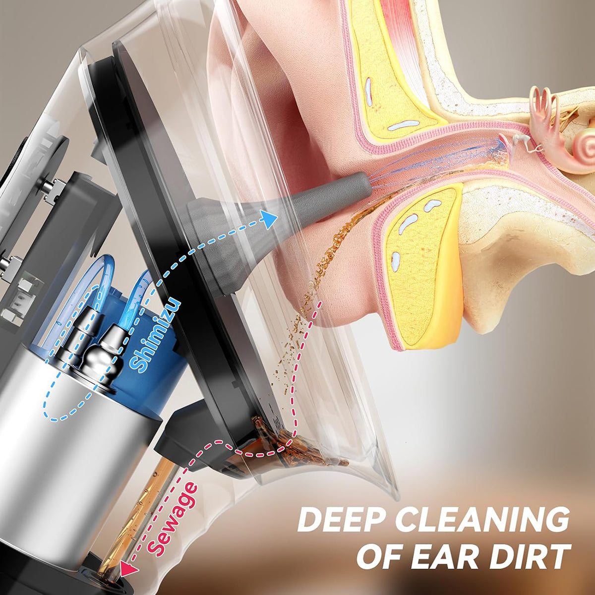 EariCarex
