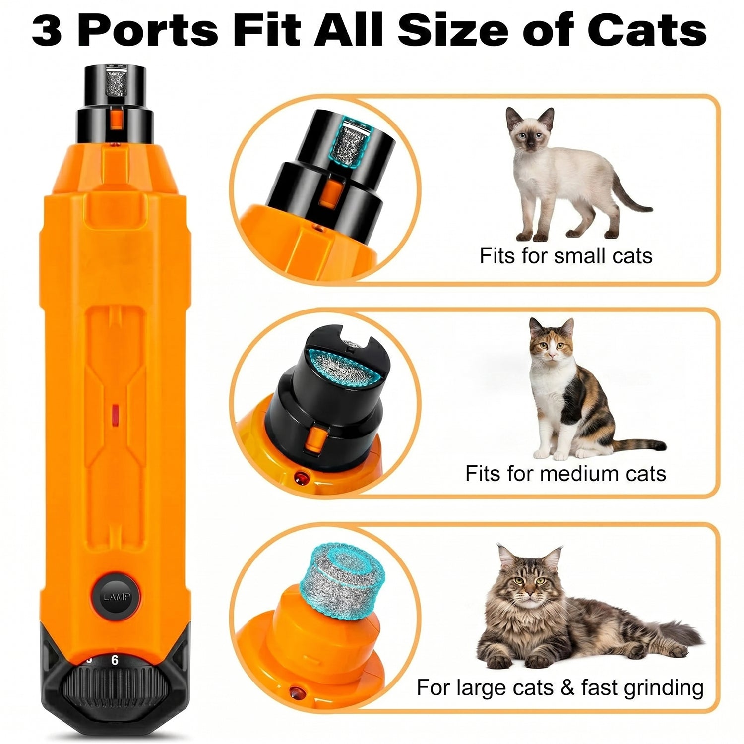 GrinPaw