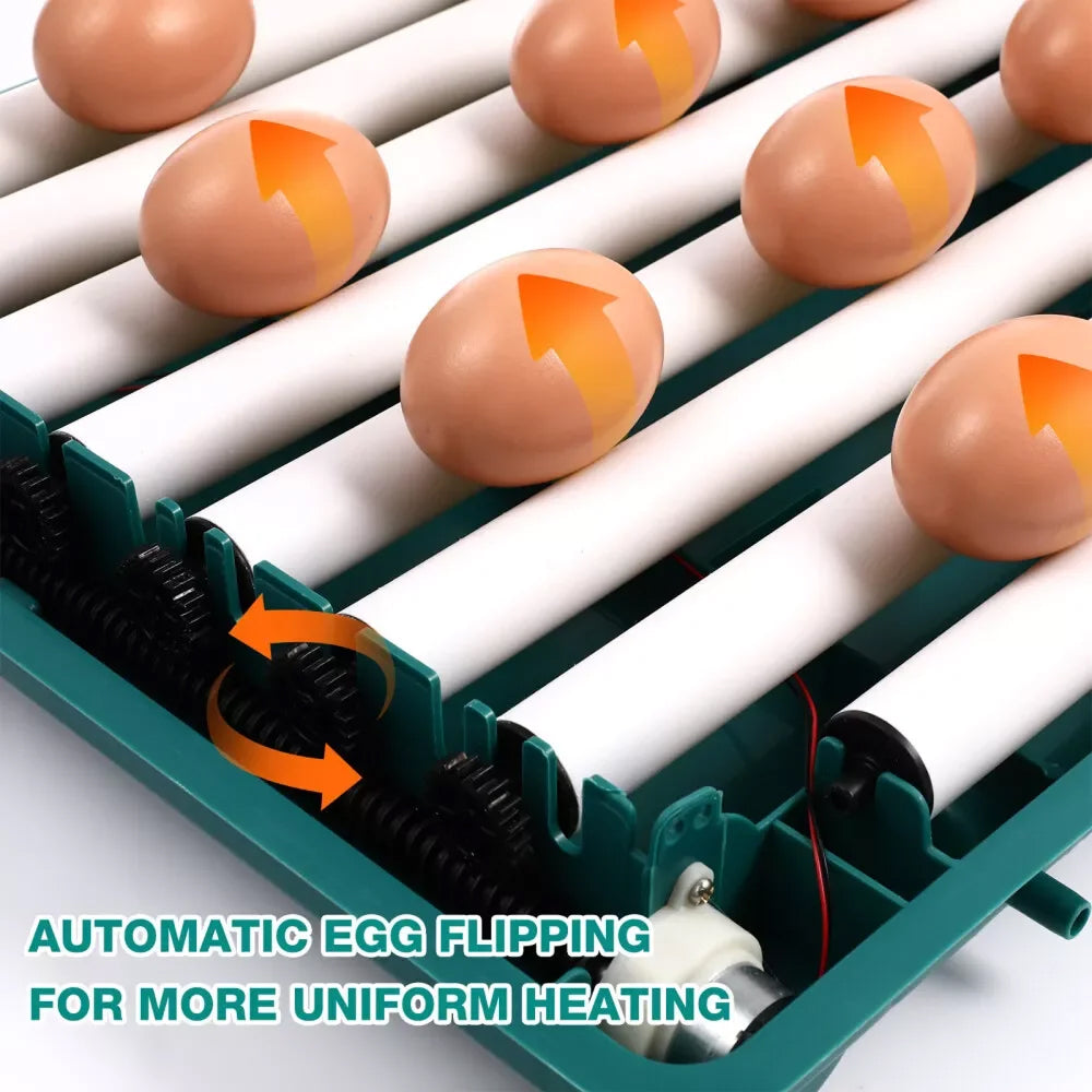 hatchi-eggo-img-12.jpg__PID:5a1b9f61-75ed-4e41-aeae-feaea6bc20ef