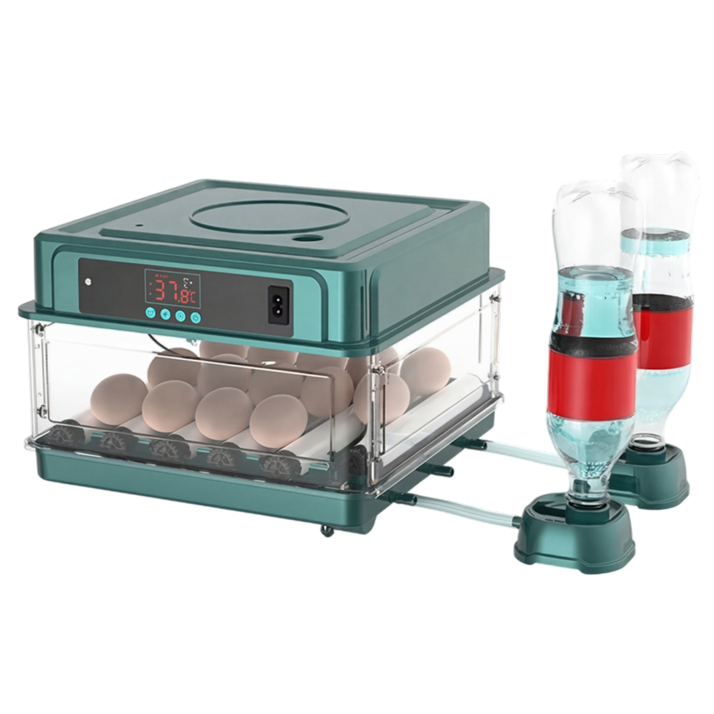 hatchi-eggo-img-14.png__PID:f7f4d342-0a08-4aa2-b947-8d8311d9265b