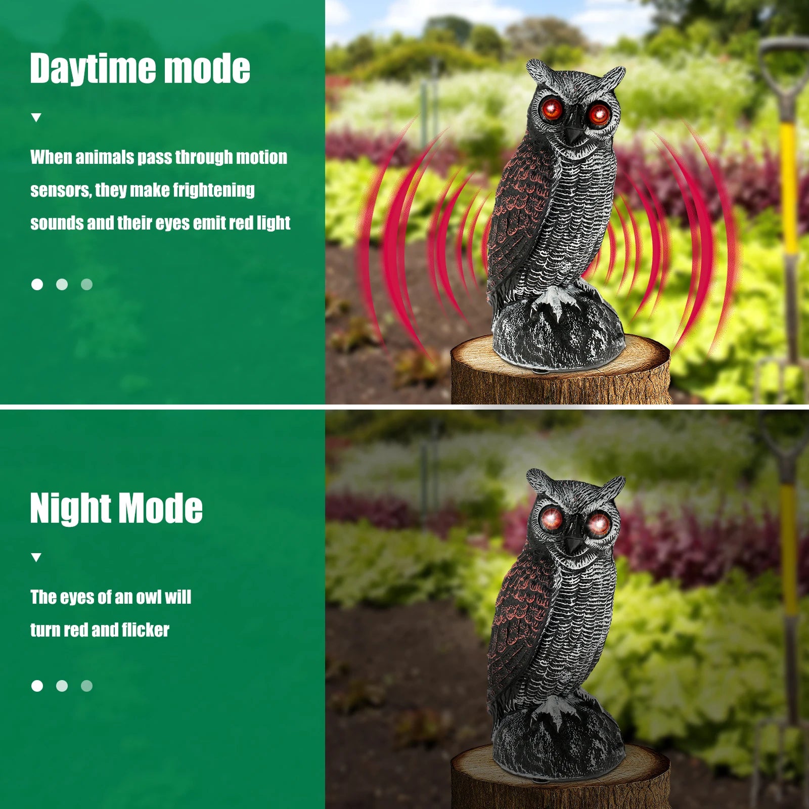 OwlVexa
