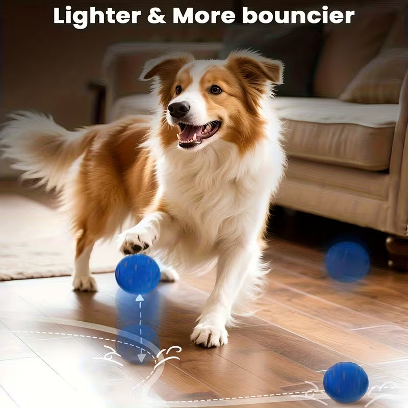 PawBounz