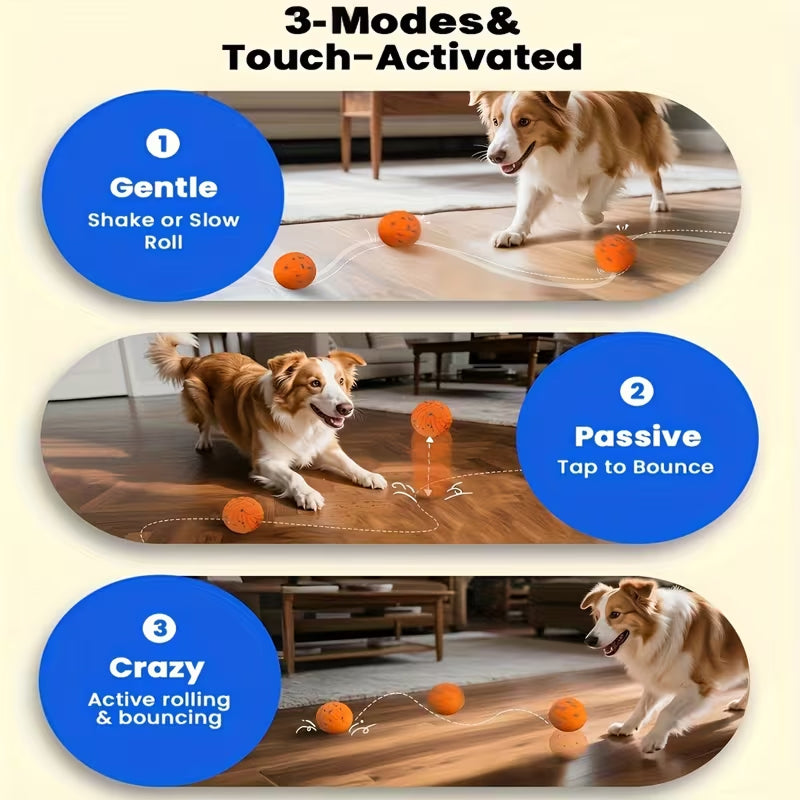 PawBounz