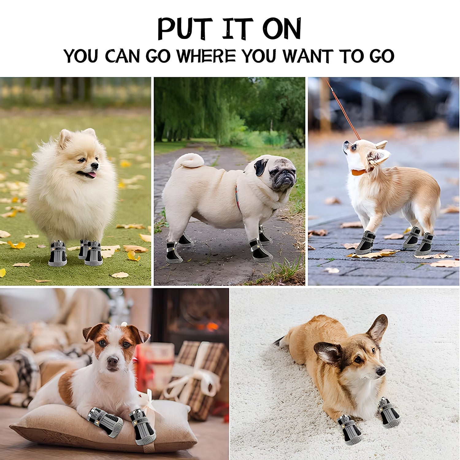 PawieBoot