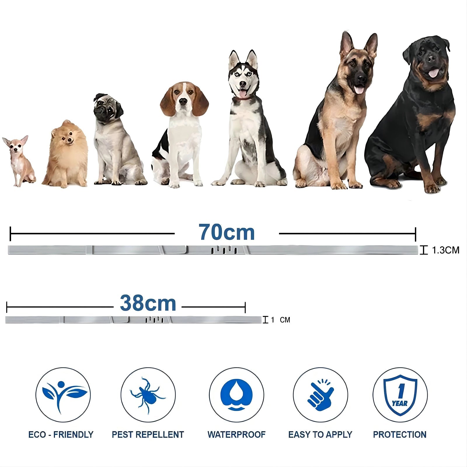 PetBrotex