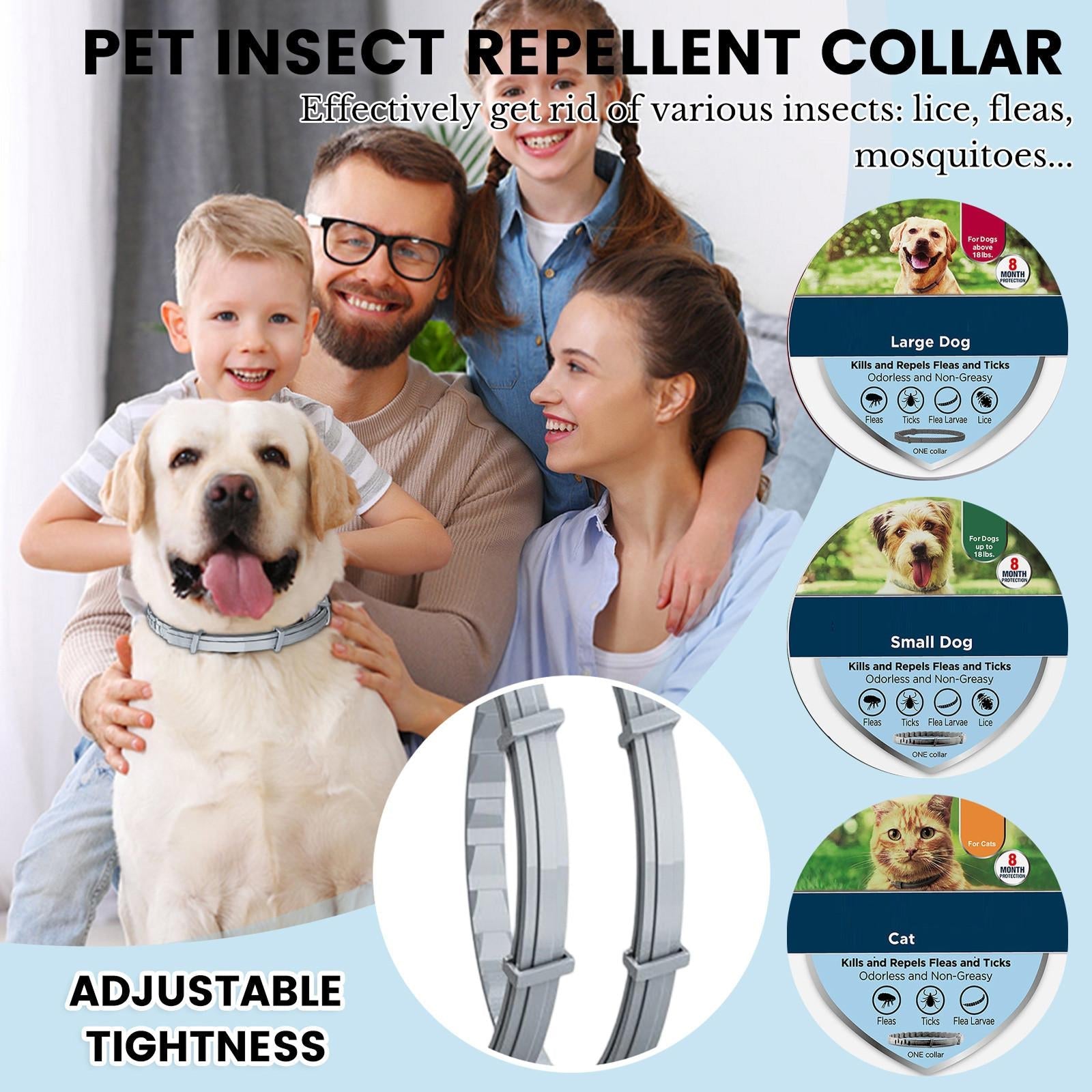 PetBrotex