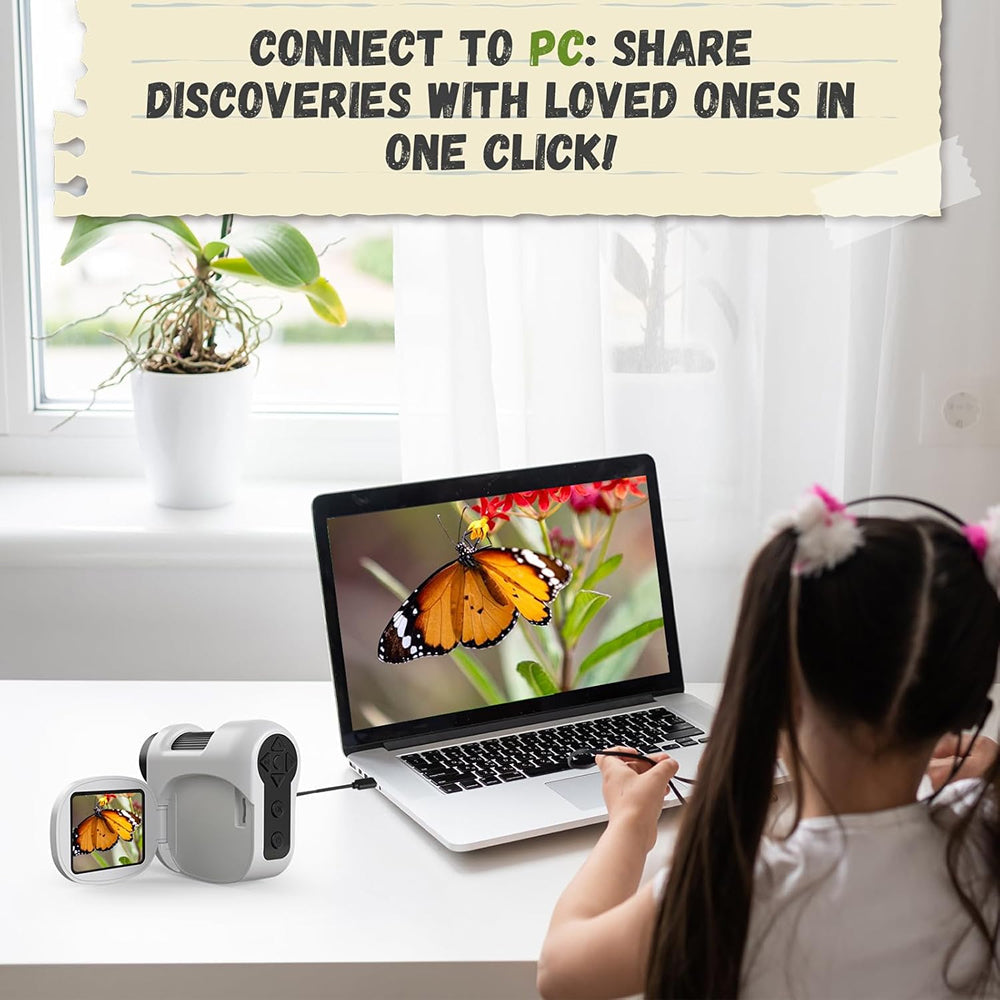 PicoViewy 1
