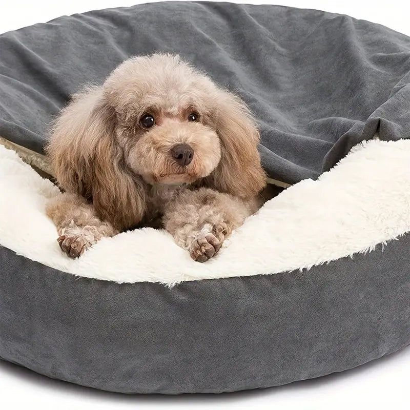 PupDozi 1
