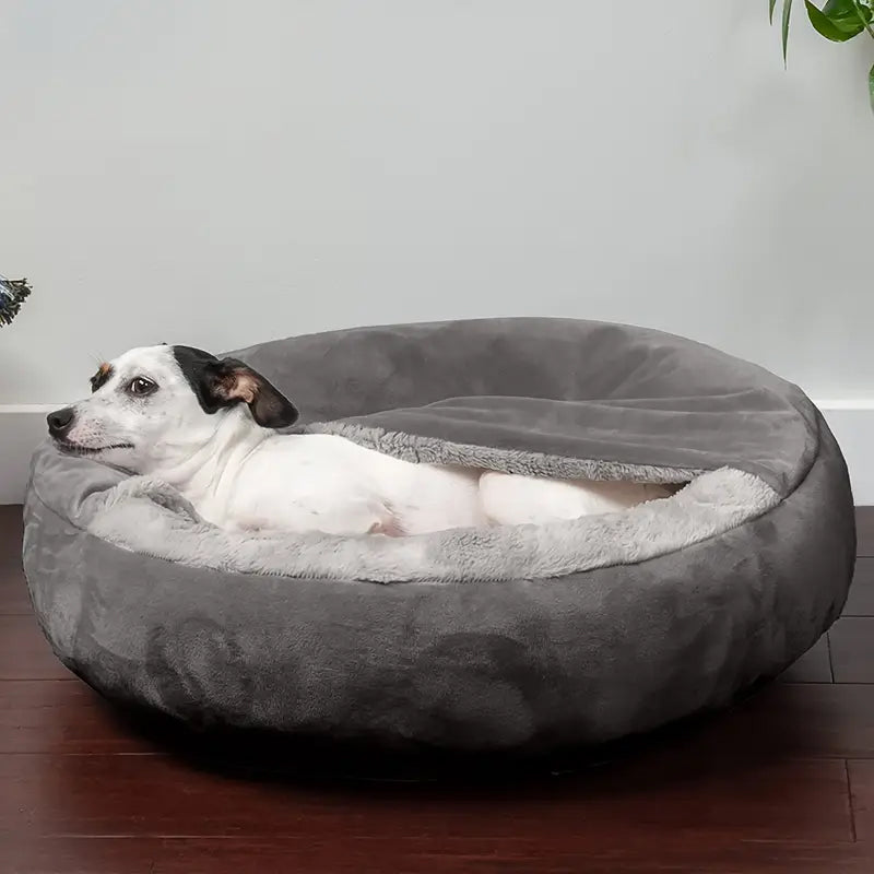PupDozi 2