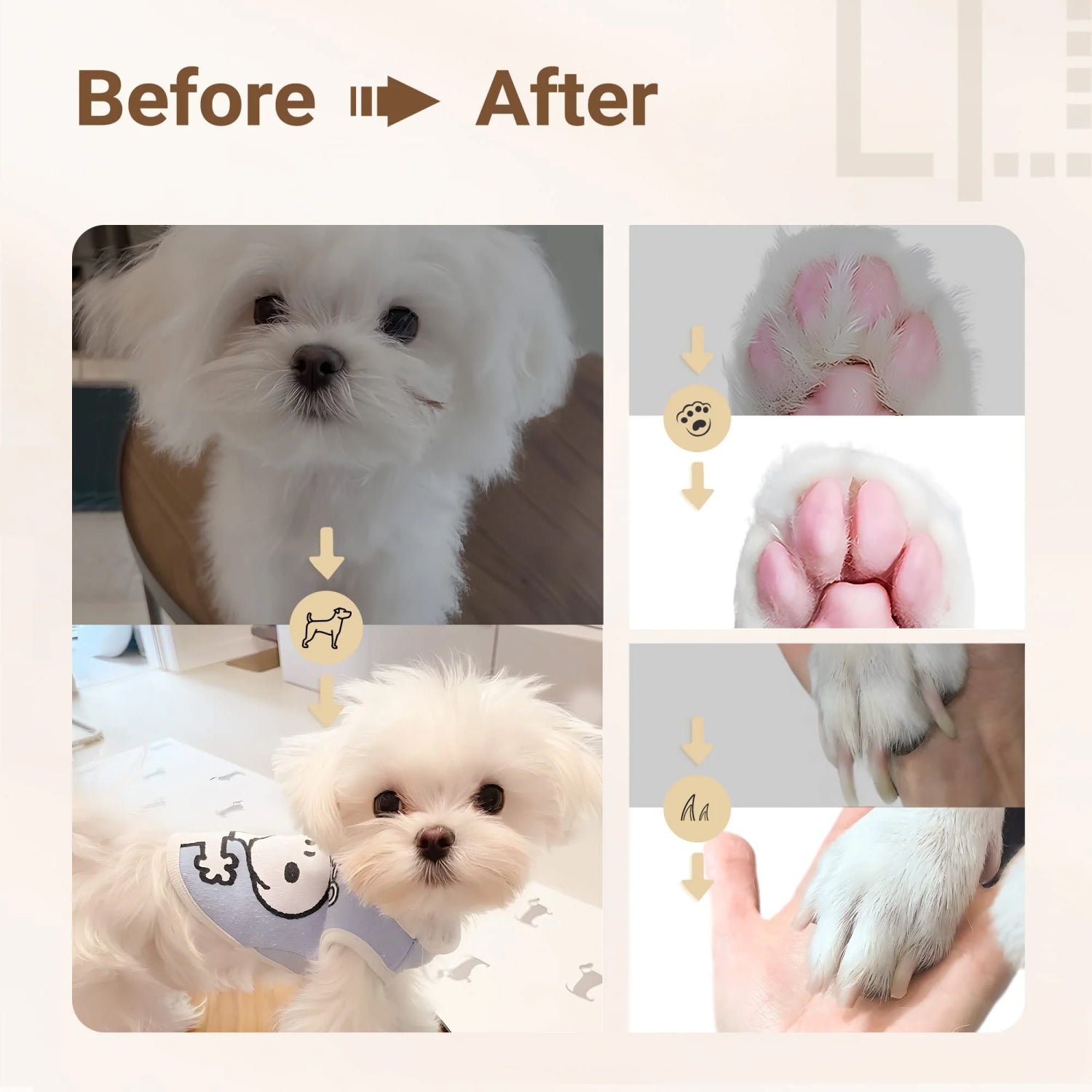 PuppiPrus
