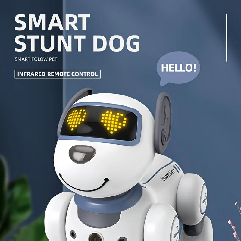 RoboKinek1