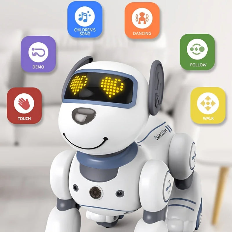 RoboKinek1