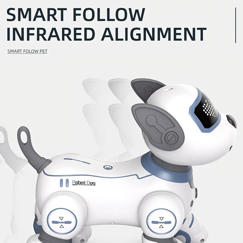 RoboKinek1
