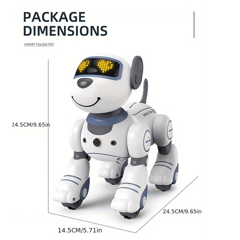 RoboKinek1