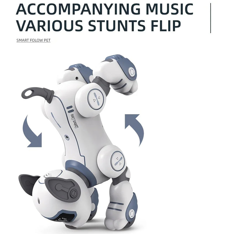 RoboKinek1