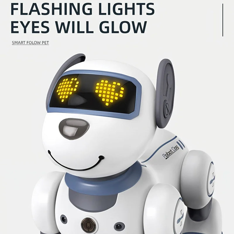 RoboKinek1
