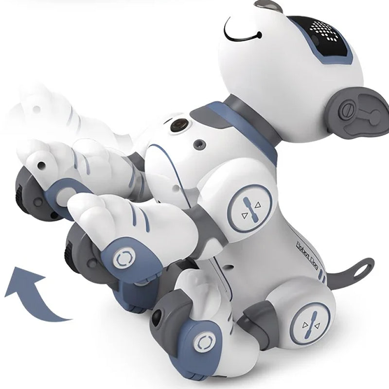 RoboKinek1