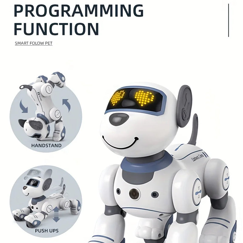RoboKinek1