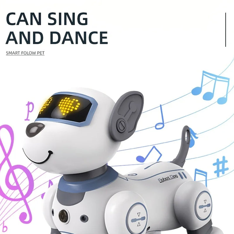 RoboKinek1