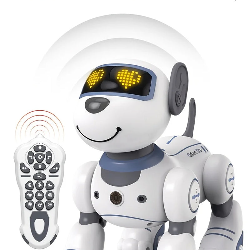 RoboKinek1