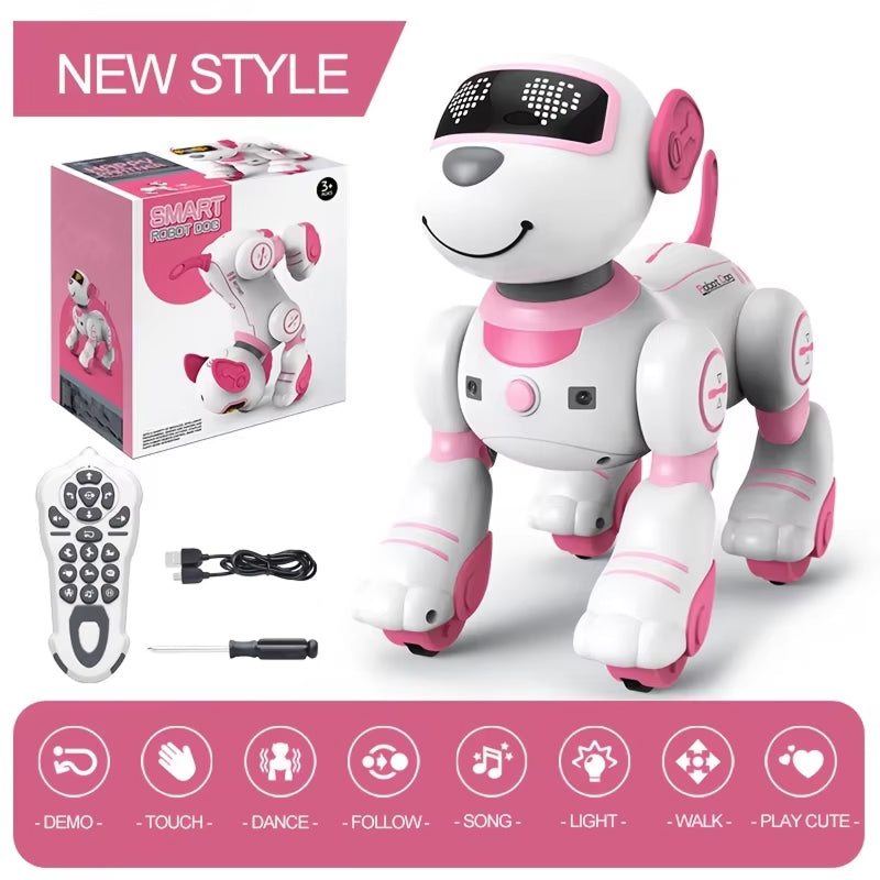 RoboKinek1
