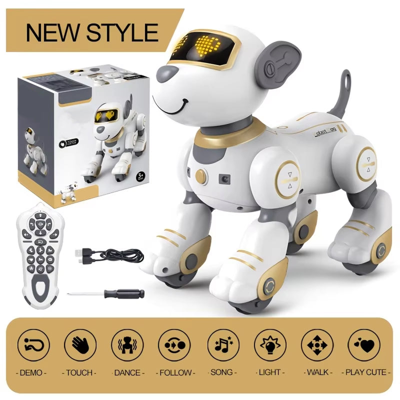 RoboKinek1