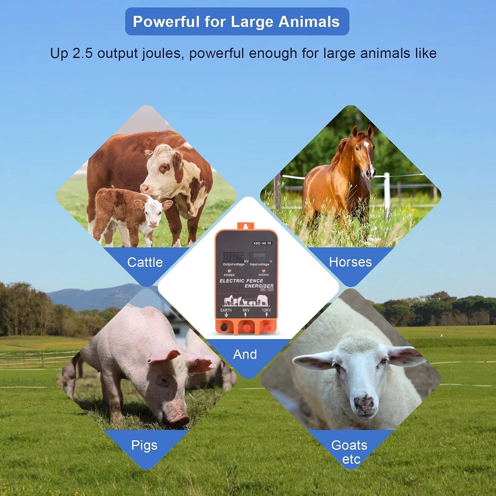 savey-farm-img-08.jpg__PID:44defbfe-816c-46d8-92eb-9fe9fc357556