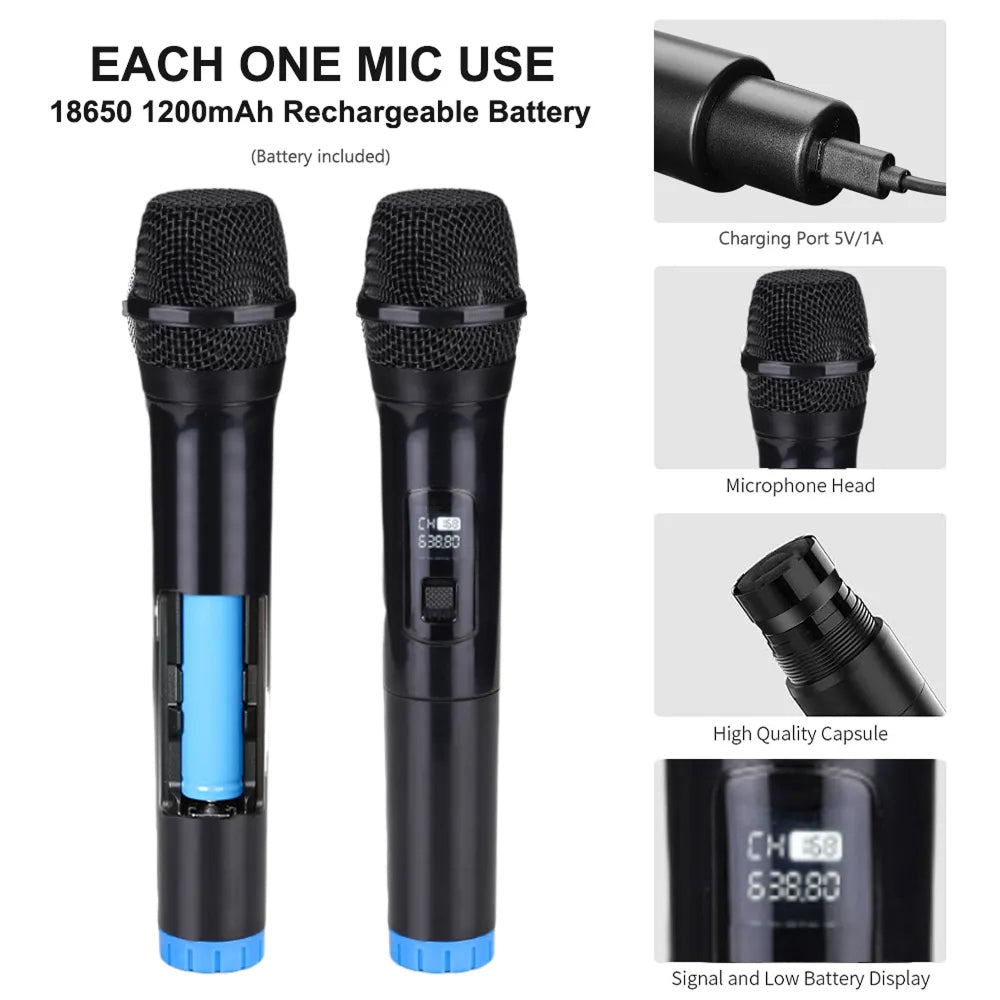 SingyMic
