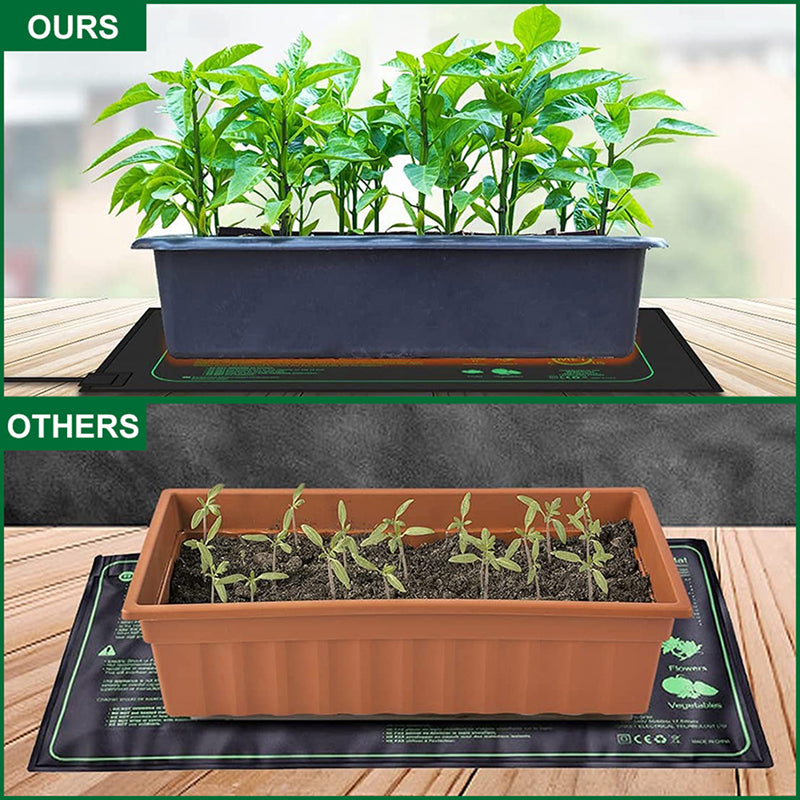 sprouto-pal-img-08.jpg__PID:71146d4c-24a0-46f6-9563-b171e958cedc