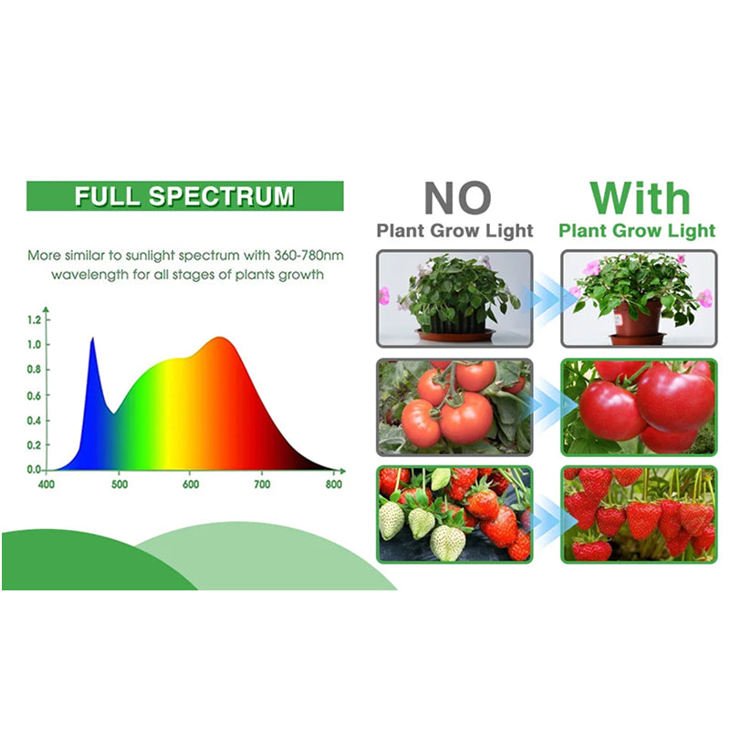 veda-grodi-img-02.jpg__PID:7aa917b4-abd4-4235-88c9-07d55c40ae18