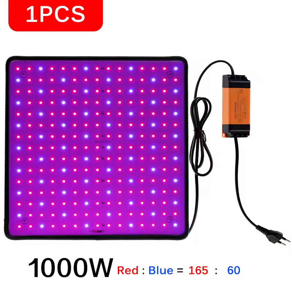 BlosomLite