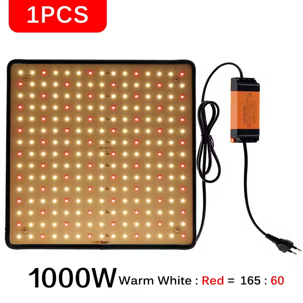 BlosomLite